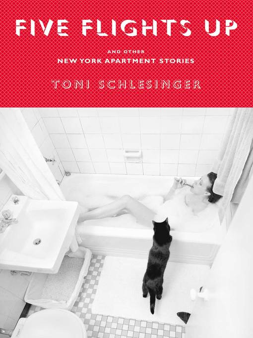 Title details for Five Flights Up by Toni Schlesinger - Available